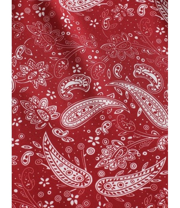 Paisley Print Smocked Bandeau Belted Skater Skirt Set